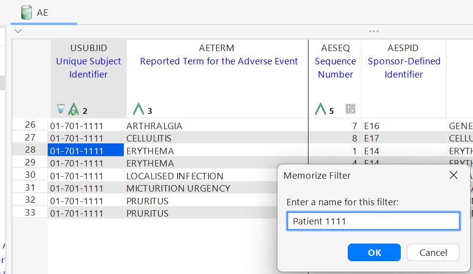 Memorize Filter dialog - naming the current filter "Patient 1111"