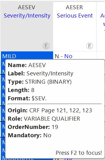 Variable tooltip - name, label, type, length, format, origin, role, mandatory