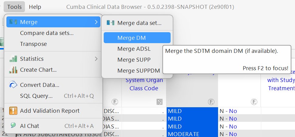 Tools β Merge β Merge DM, with tooltip "Merge the SDTM domain DM (if available)."